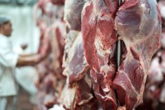 maltimento alimentari scaduti, Smaltimento carne e pesce, Smaltimento carcasse animali
